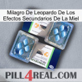 Leopard Miracle Of Honey Side Effects viagra5